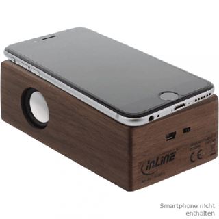 InLine 55381H 1.0 System 3W RMS braun