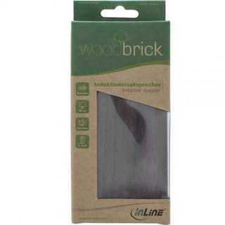 InLine 55381H 1.0 System 3W RMS braun